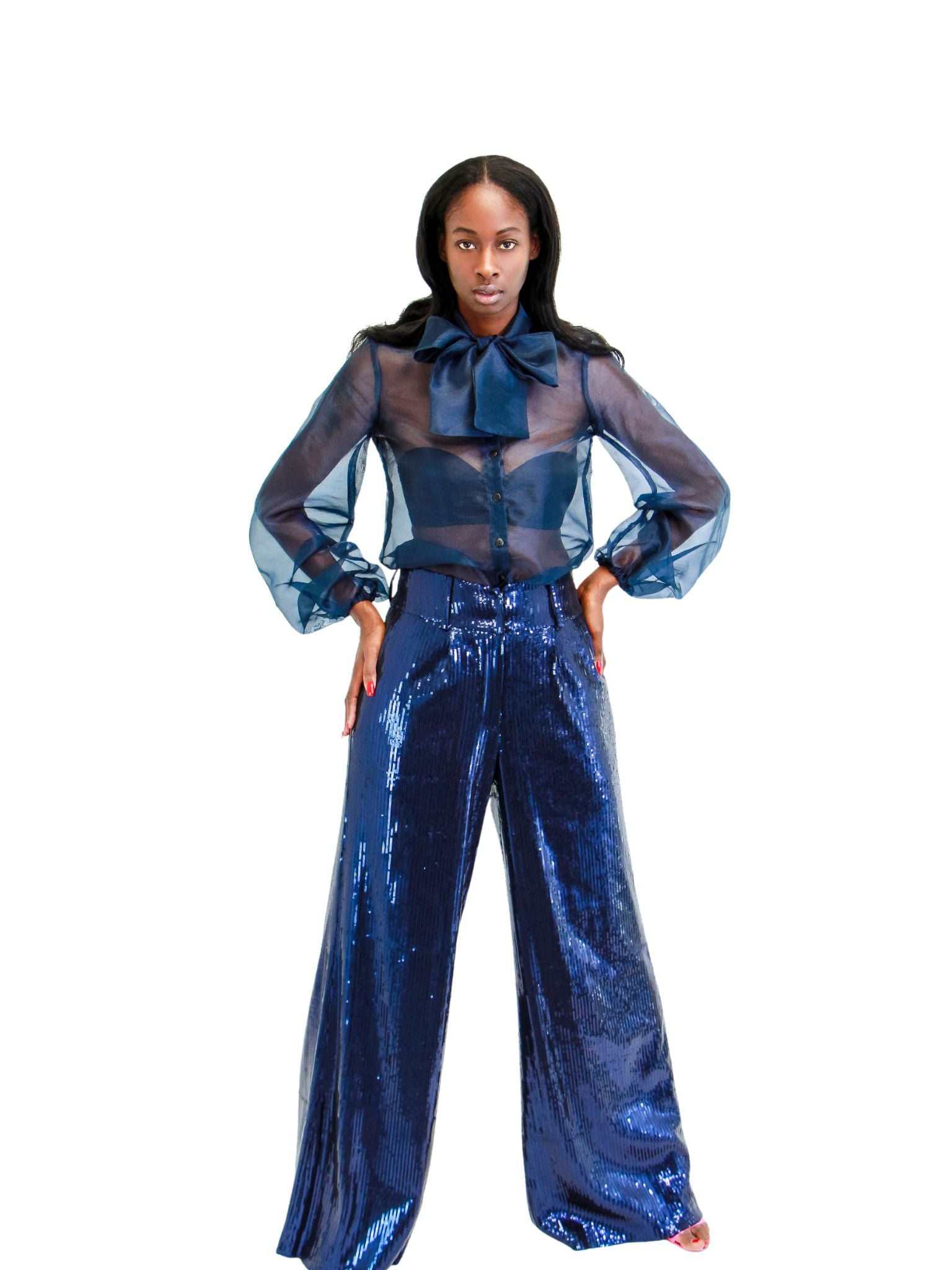 Thompson Sequin Trousers: Indigo